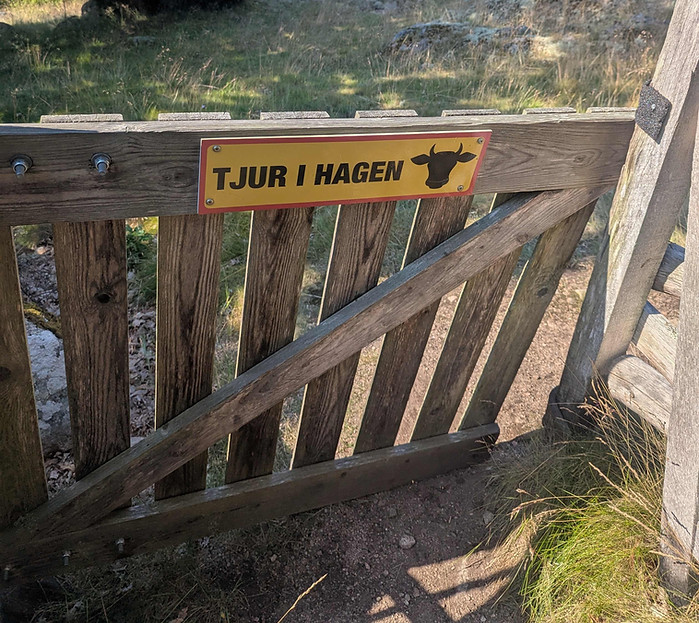 tjur i hagen.jpg
