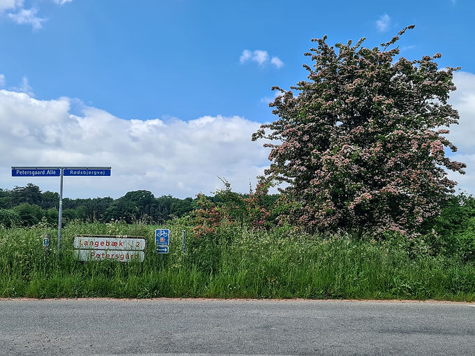 østersøruten