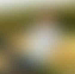 DFW Senior Portraits of young man holding football in a grass field with pond behind him. warm hues