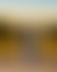 Just a girl and her horses