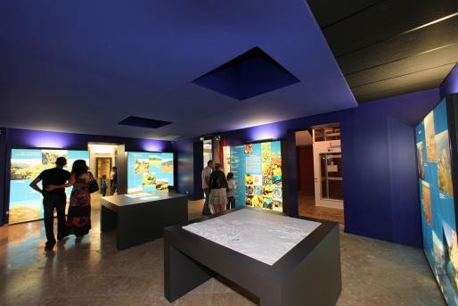 Miniature : Muséum d'Histoire Naturelle de Toulon et du Var