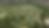 masterplan trans arboles agua verde.png