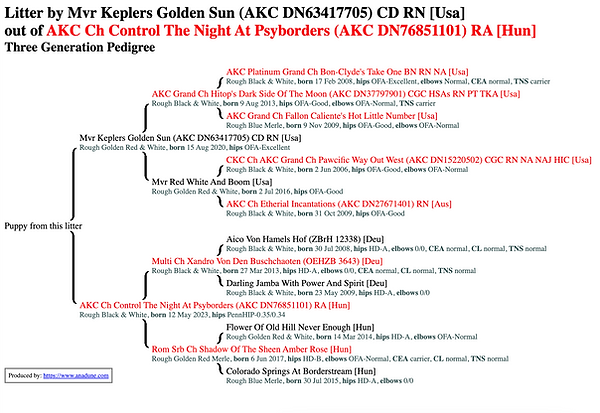 Kepler-Token-Pedigree.png