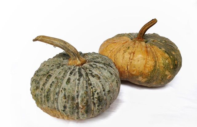 Zero Waste Halloween