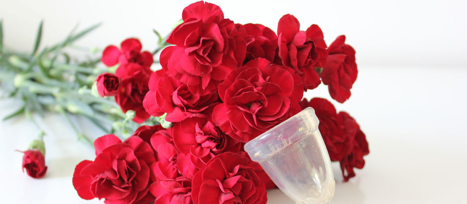 Zero Waste Periods: Reusable Pads, Menstrual Cups and Period Panties