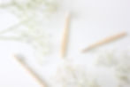 Zero waste Bamboo toothbrushes biome brisbane