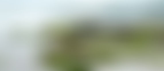 Eco-Friendly Hotel Bali: Puri Dajuma, West Bali