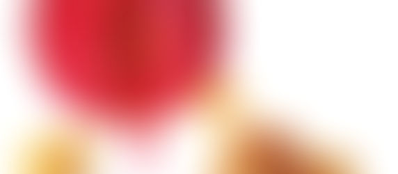 Zero Waste Chinese New Years + DIY Chinese Lantern