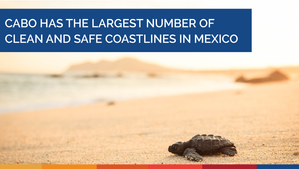 19 Cabo Beaches Received the Blue Flag Award