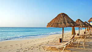 Mexico Builds Barriers to Protect Beaches from Seaweed