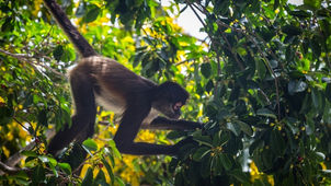 New Turndown Service at Grand Velas Riviera Maya Educates Guests