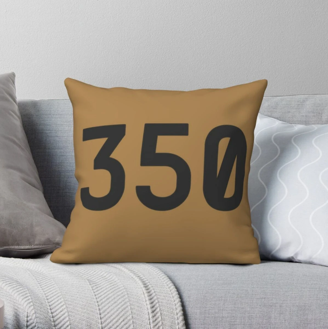'350' Hype Pillow Cover