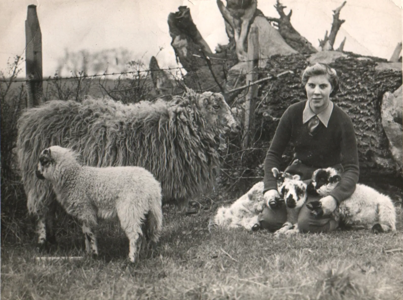 A-Bedfordshire-Land-Girl-lambing.webp