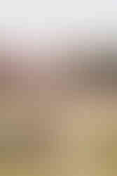 Couple engagement photoshoot in Cambridge