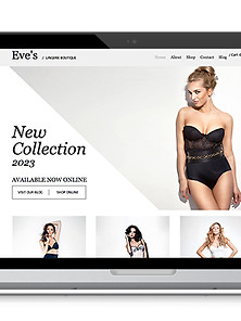 Website Development
