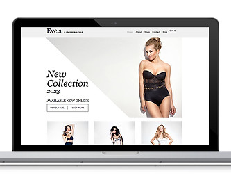Lingerie Web Design