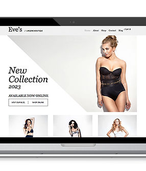 Lingerie Web Design