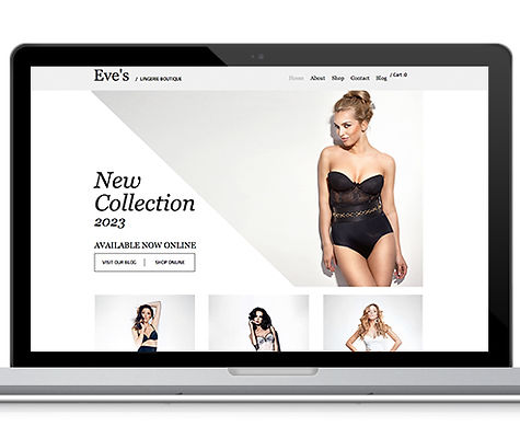 Lingerie Web Design