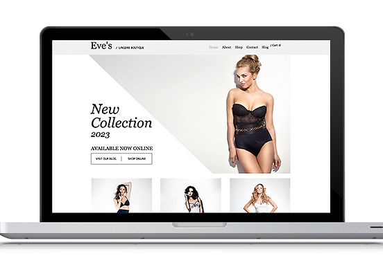 Lingerie Web Design