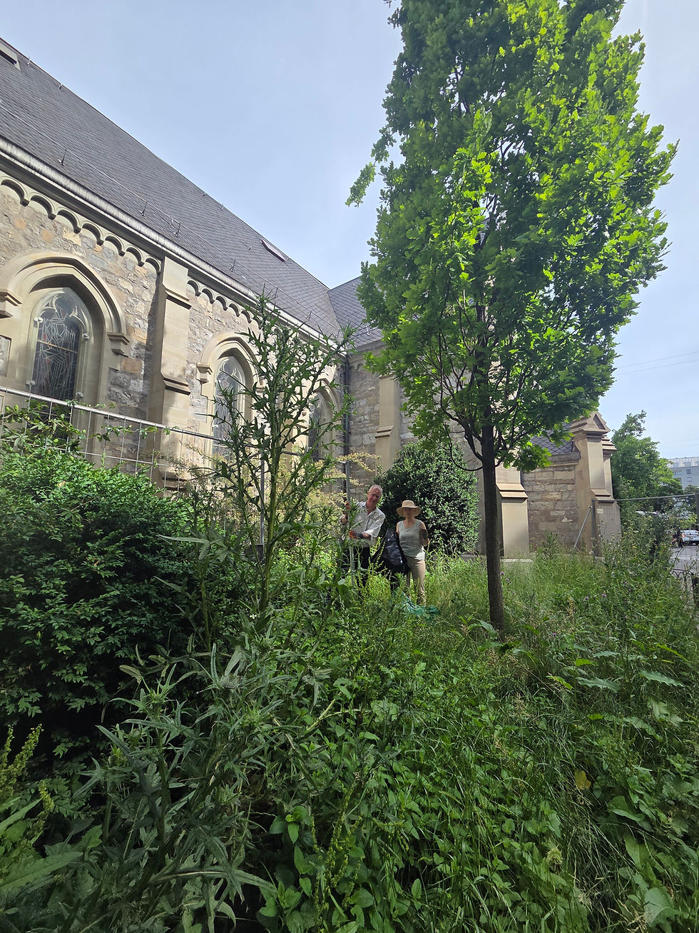 Clear-up of the church garden