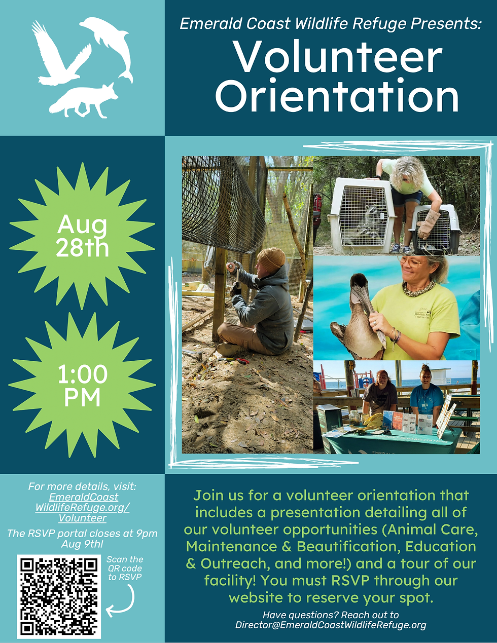 Volunteer Orientation - August 28th