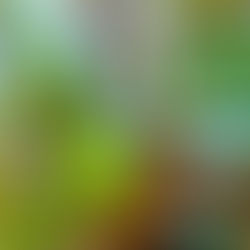 שמן ארגן שימושים ותועלות