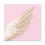 Thumbnail: Ethereal Wings Canvas (Light Peach)