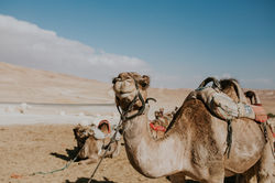 cole-keister-u-0w1ZPZF94-unsplash