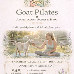 Goat Pilates flyer with woman and baby goat, prices.