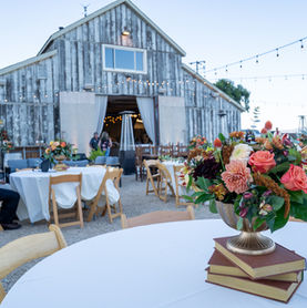Rustic outdoor event with tables, chairs, and barn