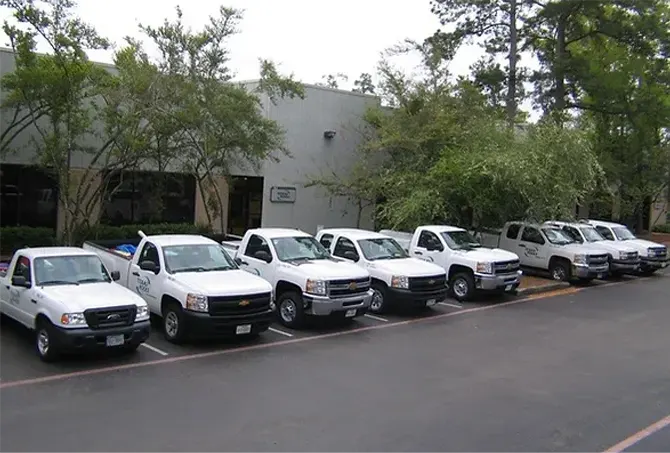 Put Your Backyard in Good Hands with the Pool Service Experts