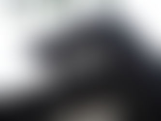 【常陸大宮市・美和】喜雨亭・養浩園 特別公開レポート!