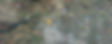 chatsworth.jpg