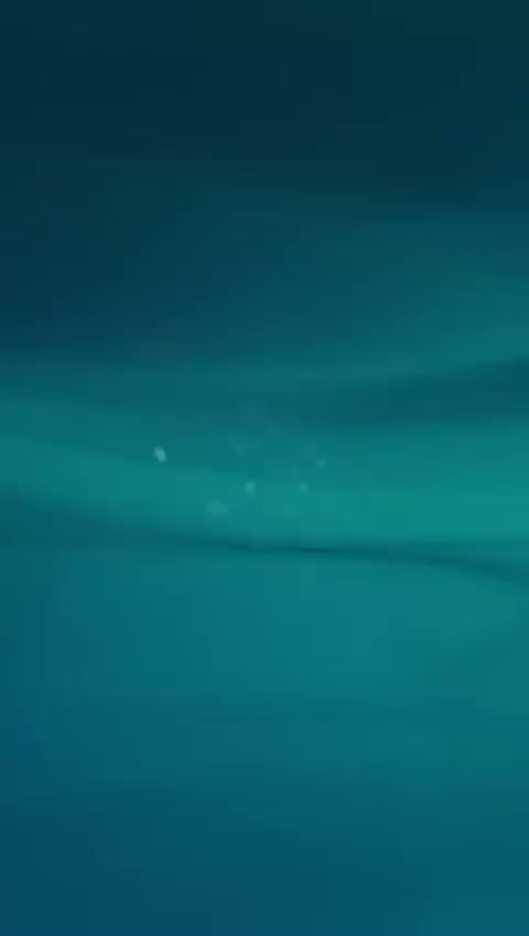 WhatsApp Video 2025-11-30 at 17.48.39_fb71a77c.mp4