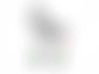 Eid Al Fitr Mubarak 🌙✨