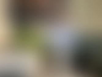 Iraqi Bone and Joint Health Association Hosts Scientific Symposium in Babylon, Sponsored by Shubar Scientific Office/Organon