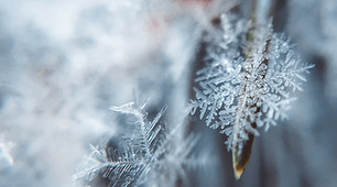 Snowflake