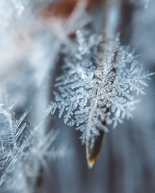 Snowflake