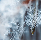 flocon de neige