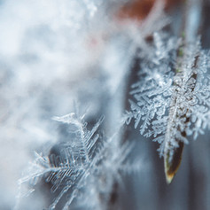 Snowflake