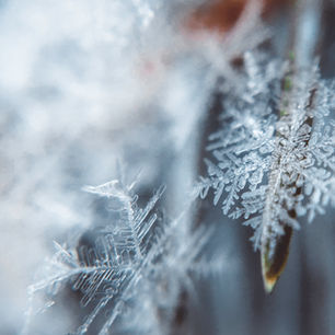 From Cloud to Ground: Snowflake Formation 101
