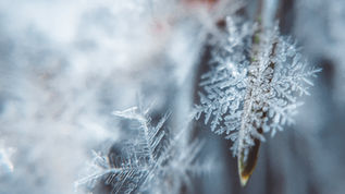 Clearing Failure...Embracing Wisdom