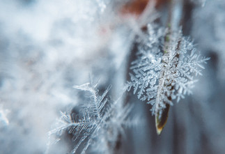 Tips to conserve energy this Winter