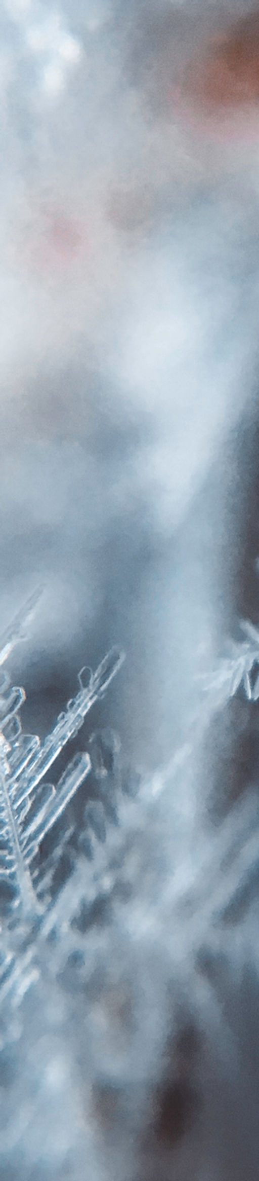 ホーム リゾラク