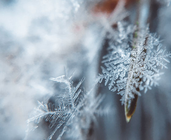 Snowflake
