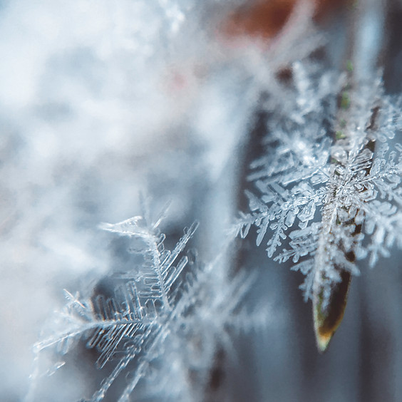 The Snowflake Event
