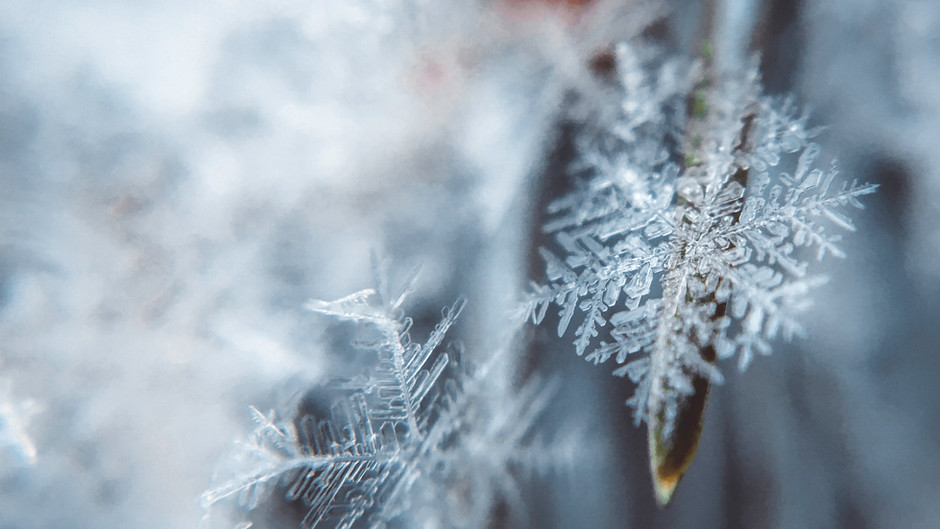 5 tips to conquer winter