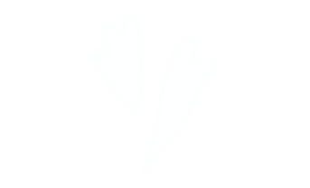 hearts_edited.png