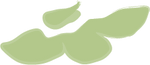 Asset 3.png