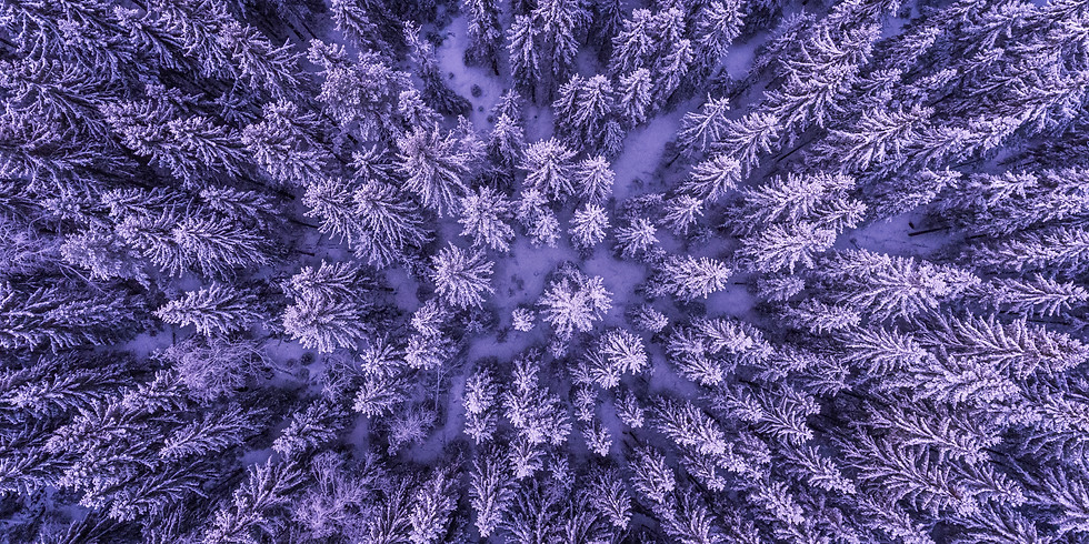 Healing Winter Retreat